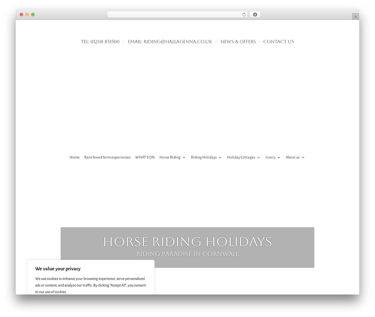 Divi WP theme - hallagenna.co.uk Divi WP theme - hallagenna.co.uk