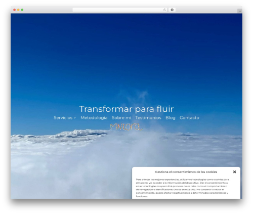 Divi accessibility 2.0.5 WordPress plugin - mntora.com