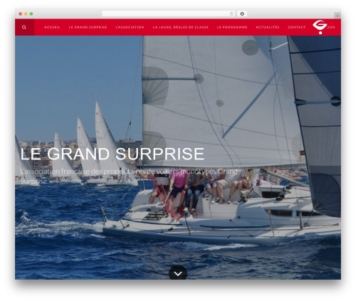 WordPress theme Gnar - grandsurprise.com