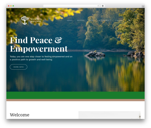 WordPress theme Oshin - wellnesswilson.com