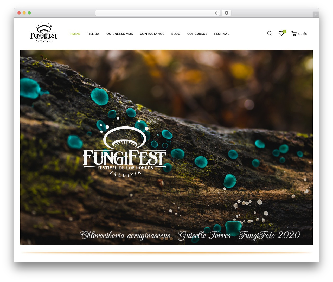 Basel WordPress theme - fungifest.cl