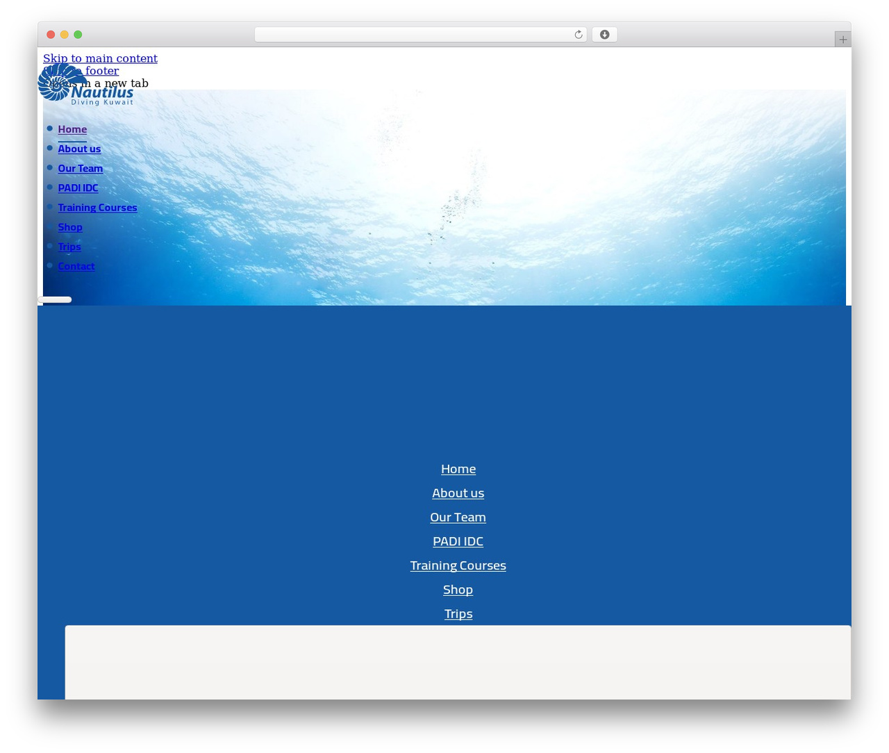 Bricks theme WordPress - nautilusdivingkuwait.com