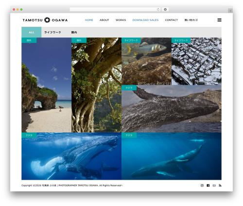NUMERO theme WordPress - tamo2.net