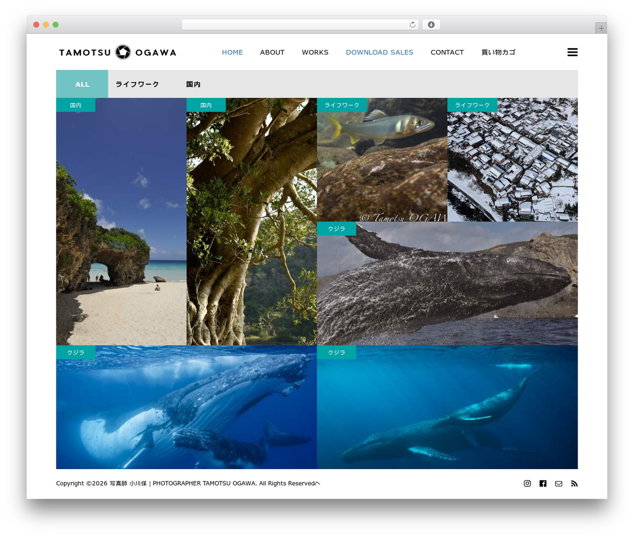 NUMERO theme WordPress - tamo2.net NUMERO theme WordPress - tamo2.net