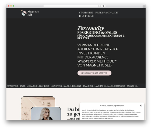 Theme WordPress Divi - www.magneticself.de