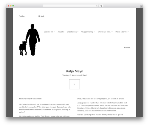 SV Tracking Manager (sv-tracking-manager) free WordPress plugin - katjameyn.com