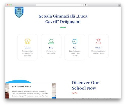 Theme WordPress ECOLE - scoaladragusenisv.ro