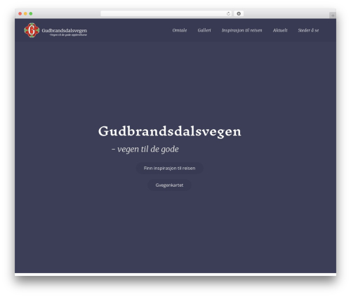Visitors traffic real time statistics pro WordPress plugin - gvegen.no