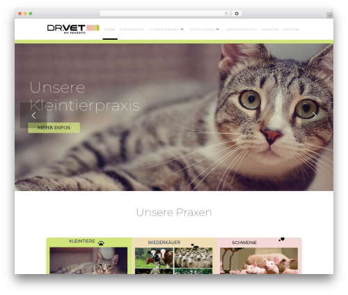 Best WordPress theme HouseMed - dr-vet.at