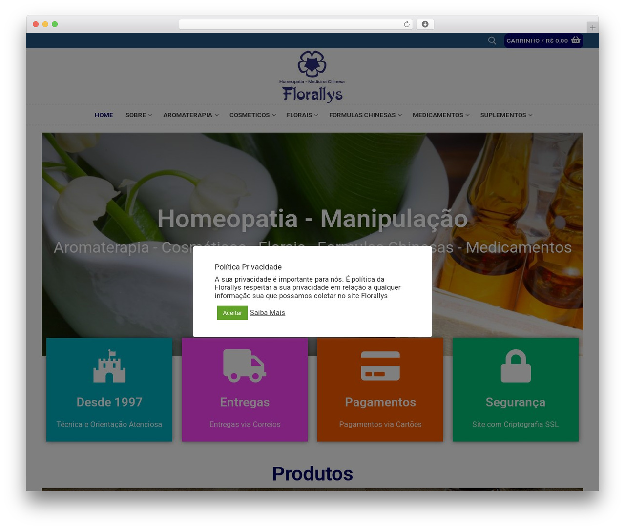 Customify premium WordPress theme - florallys.com.br