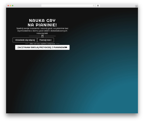 Wp idea WordPress plugin - zostanmuzykiem.pl