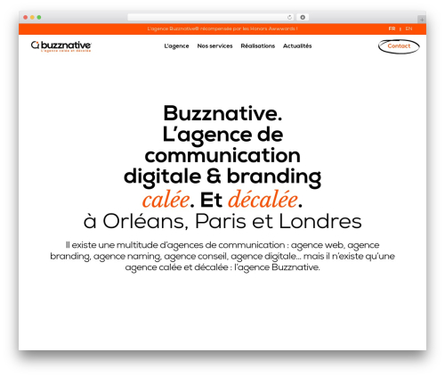 Buzznative theme WordPress - buzznative.com