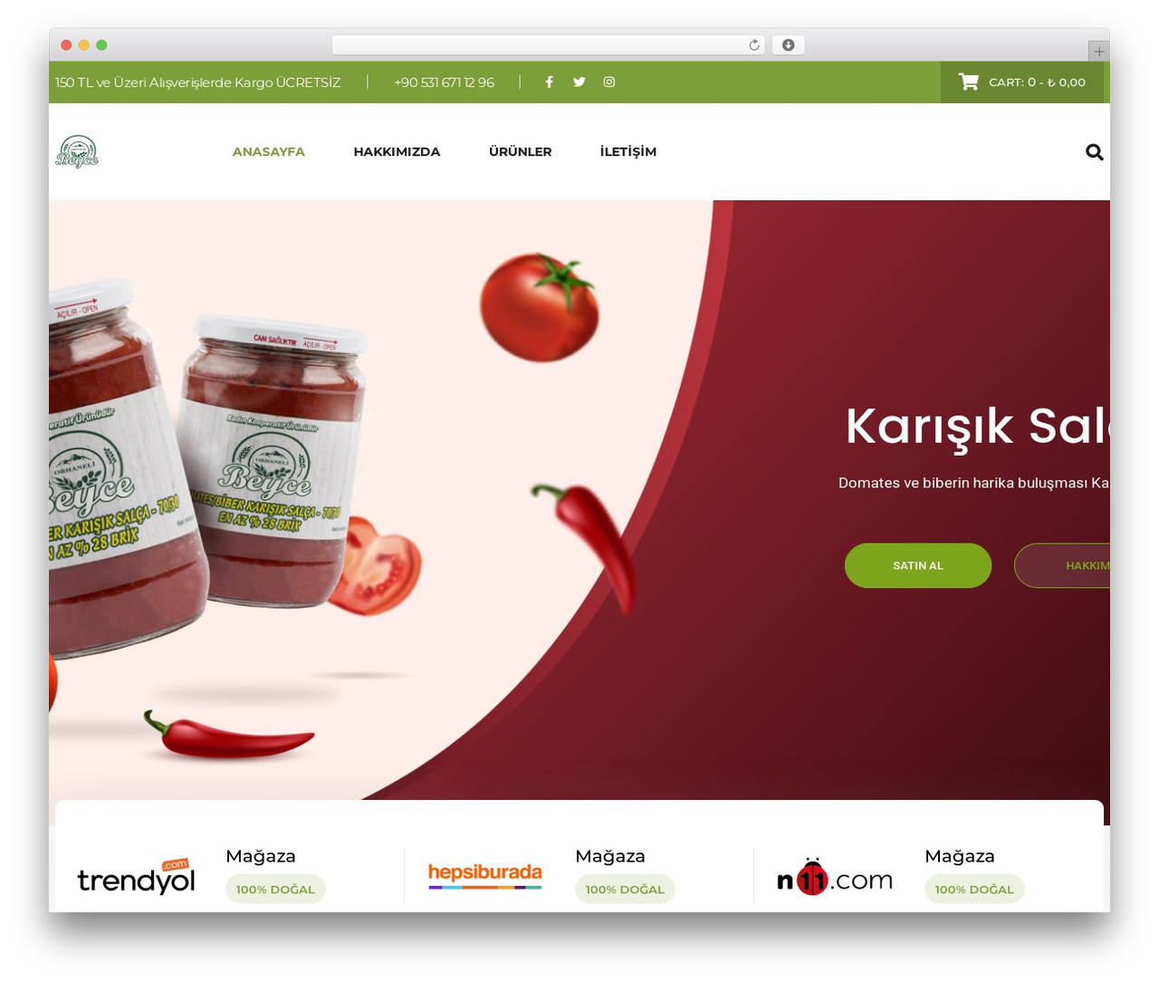 OrgaFit theme WordPress - www.beyce.com.tr