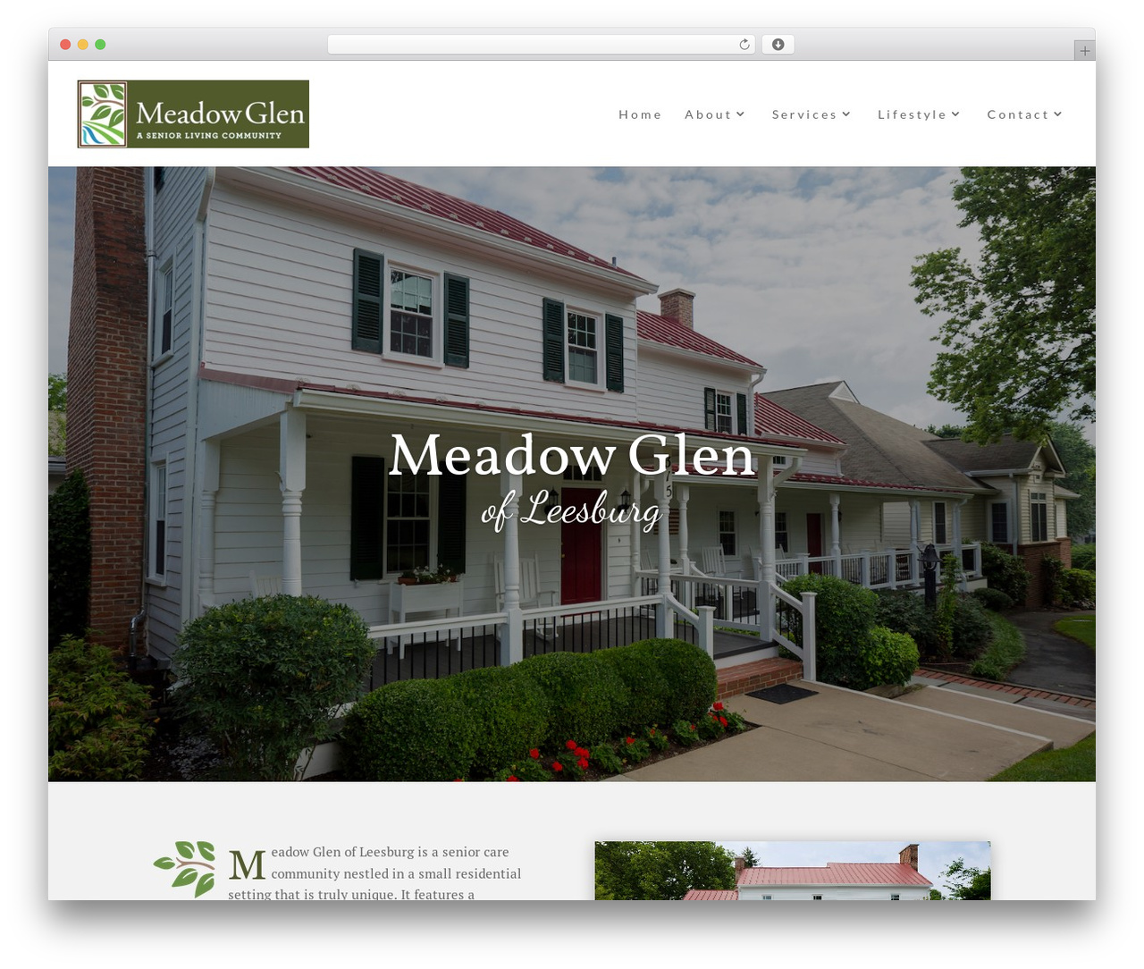 Best WordPress theme Divi - meadowglen.net Best WordPress theme Divi - meadowglen.net