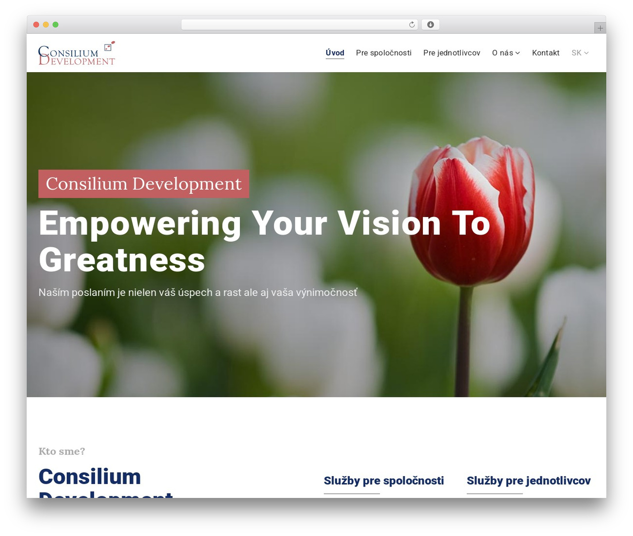 Consilium Development WordPress theme - www.consiliumdevelopment.sk Consilium Development WordPress theme - www.consiliumdevelopment.sk