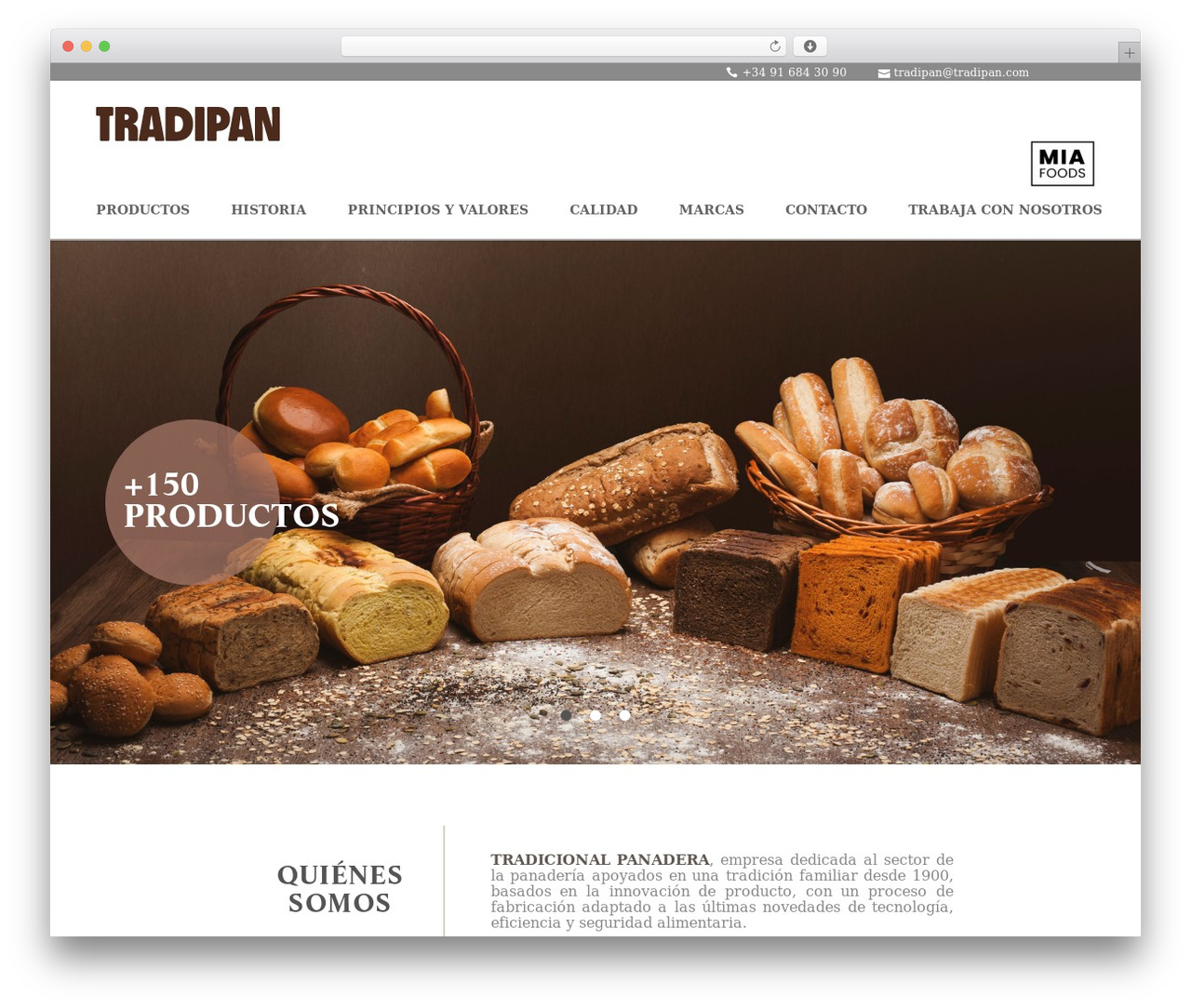 TheGem WordPress theme - tradipan.com TheGem WordPress theme - tradipan.com