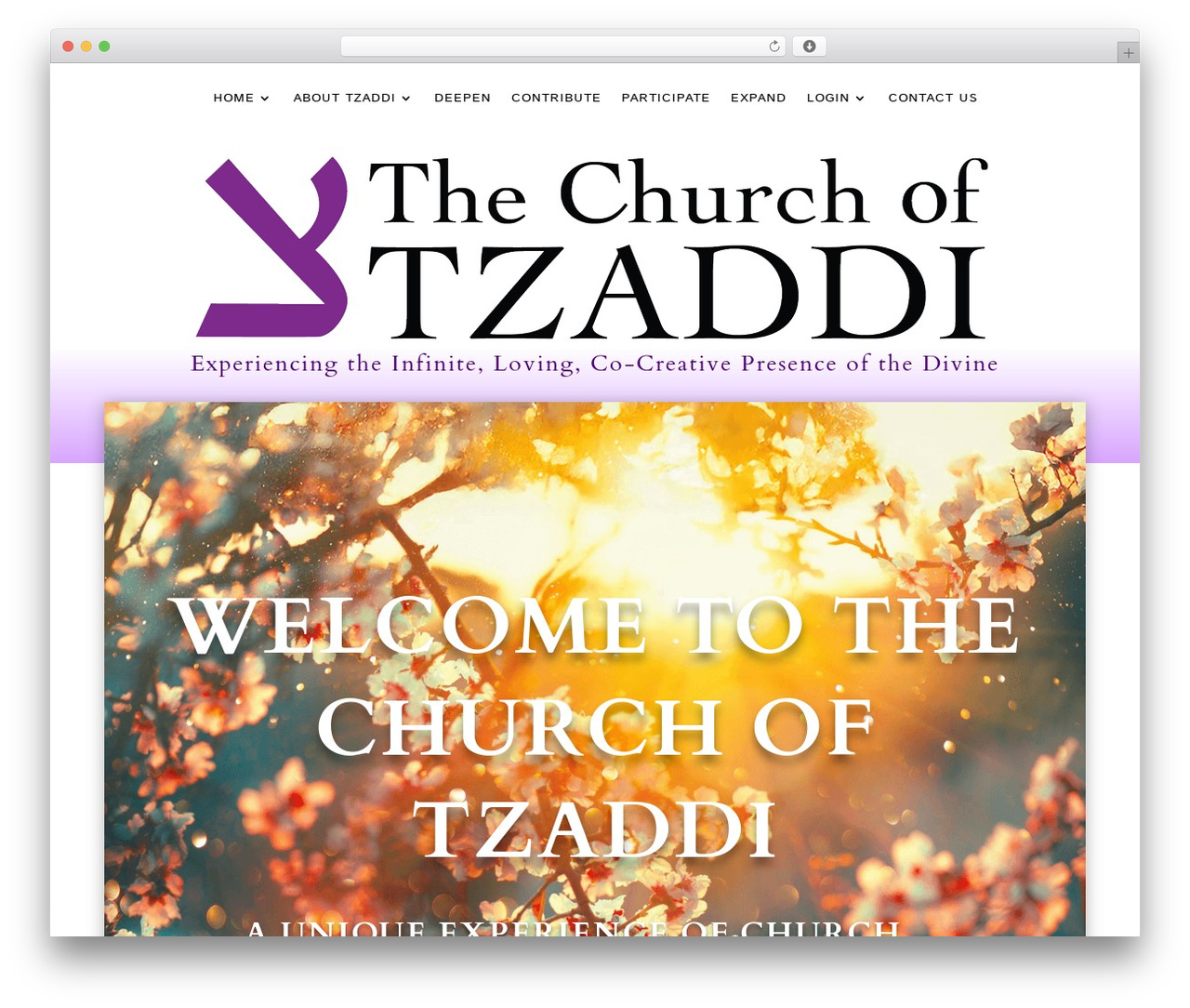 Theme WordPress Divi - tzaddi.org Theme WordPress Divi - tzaddi.org