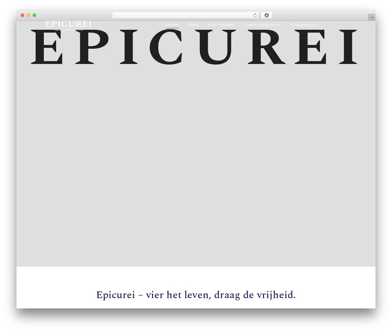 Theme WordPress Moderno - epicurei.com