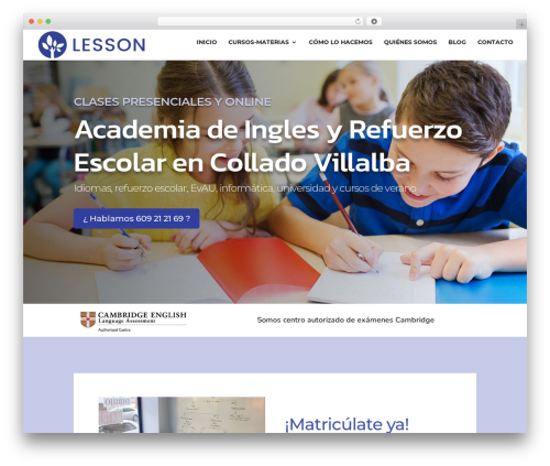 WordPress theme Divi - www.academialesson.es
