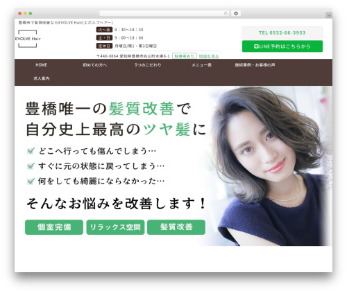WordPress website theme Yuimaru - evolve-hair.com