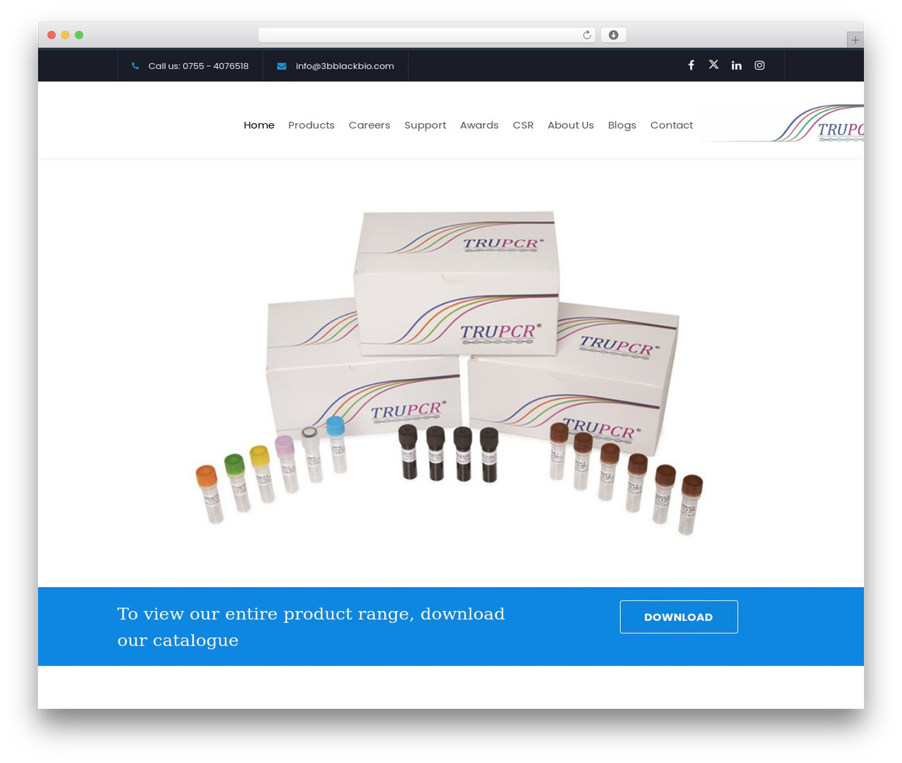 WP theme TheFox - 3bblackbio.com