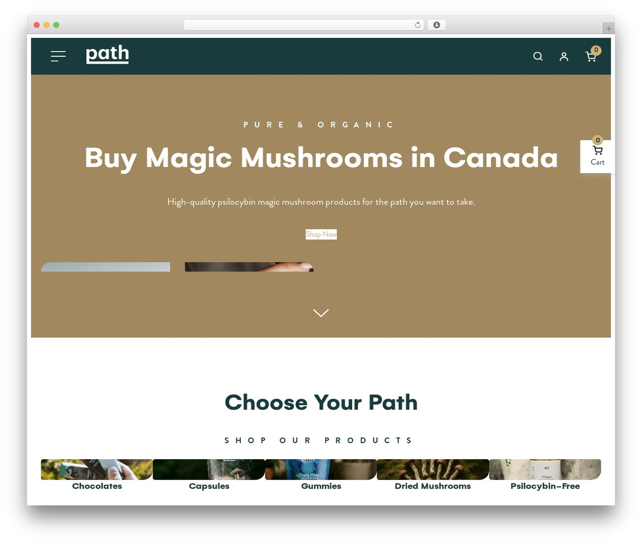 AM2 Theme WordPress ecommerce theme - pathsupply.ca