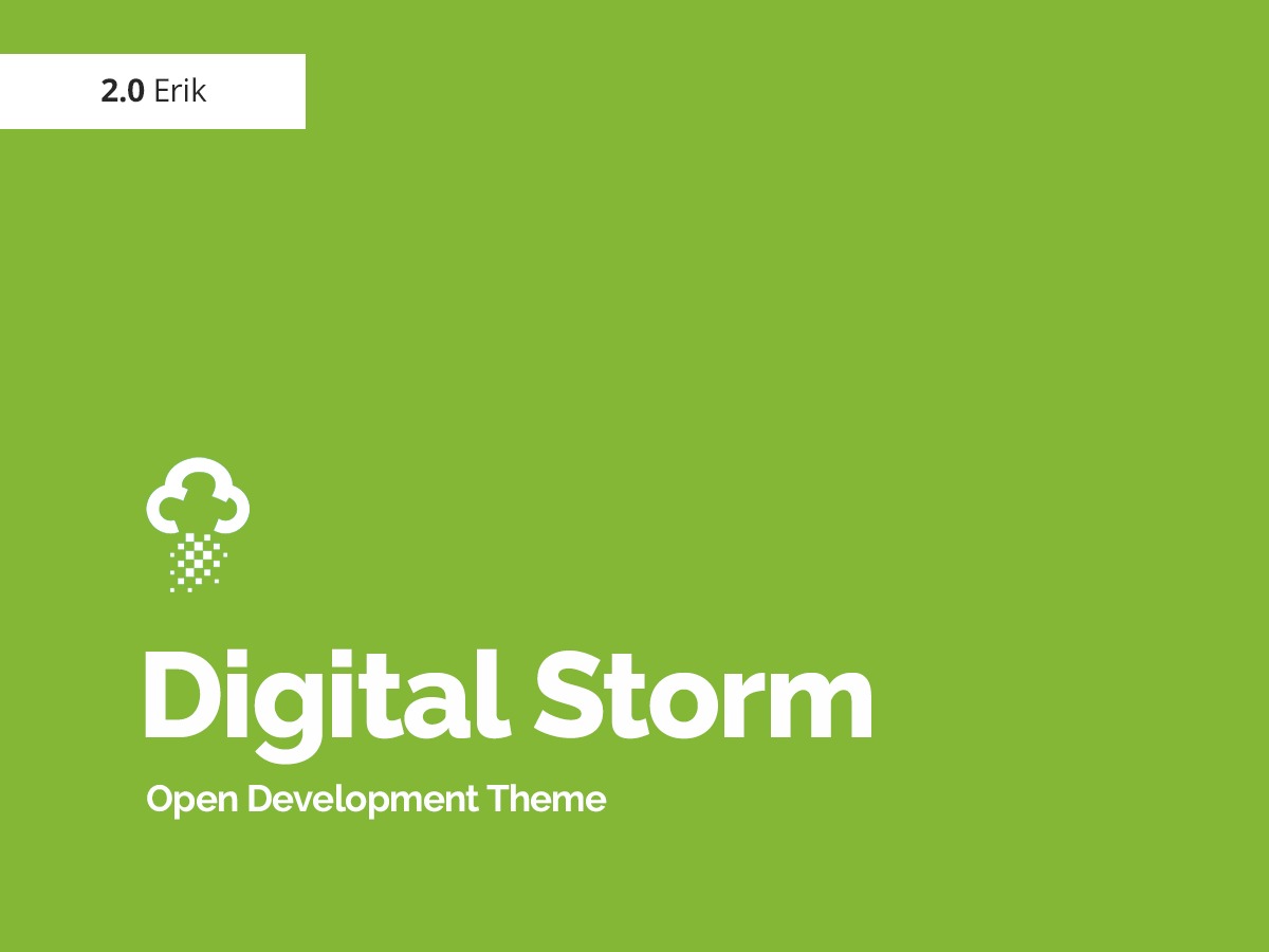 DS Theme WordPress store theme DS Theme WordPress store theme