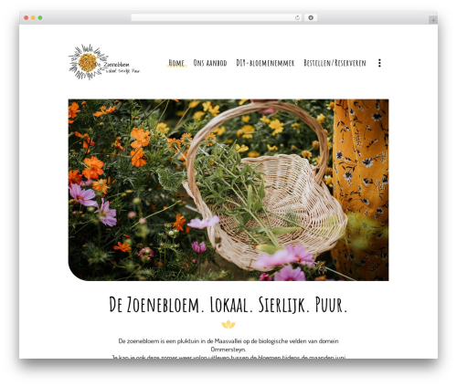 Wp event manager embeddable event widget WordPress plugin - dezoenebloem.be