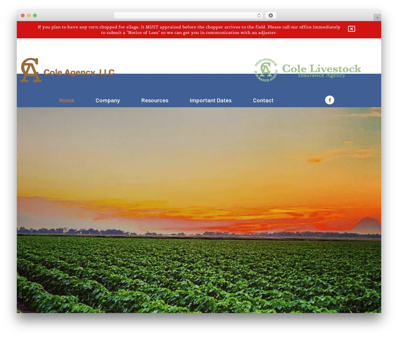 Hello Elementor theme WordPress - coleagencycropins.com Hello Elementor theme WordPress - coleagencycropins.com