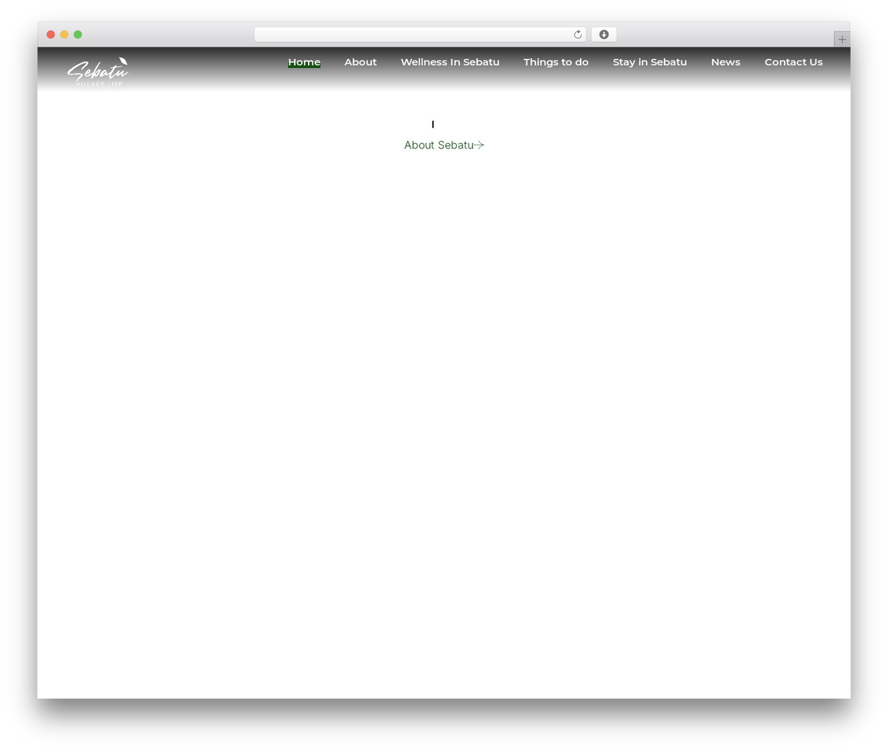 Hoolabs WordPress theme design - sebatuvillagelife.com