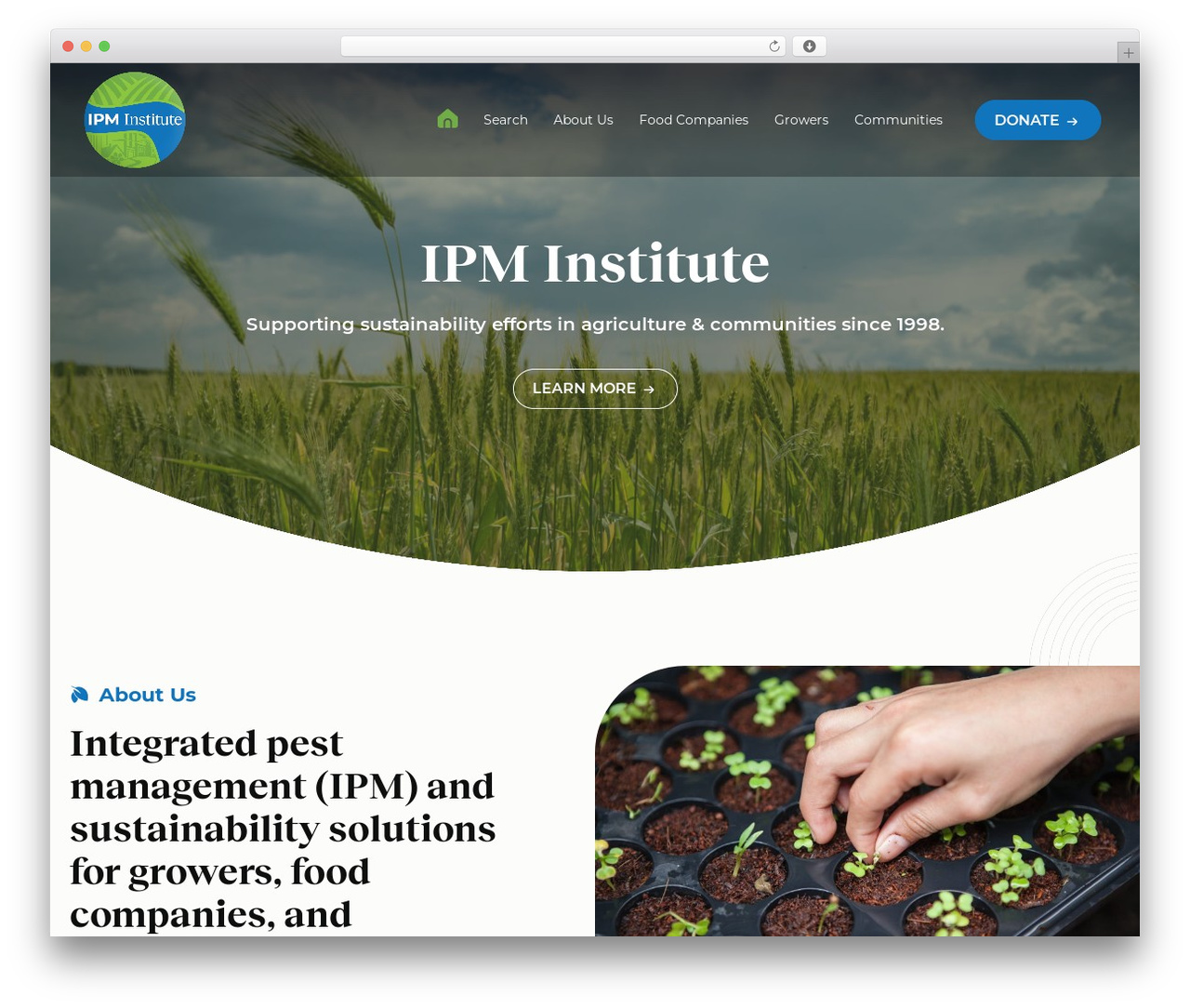 ipm WordPress theme - ipminstitute.org
