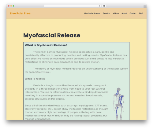 Stackable Theme WP theme - myofascialawareness.com