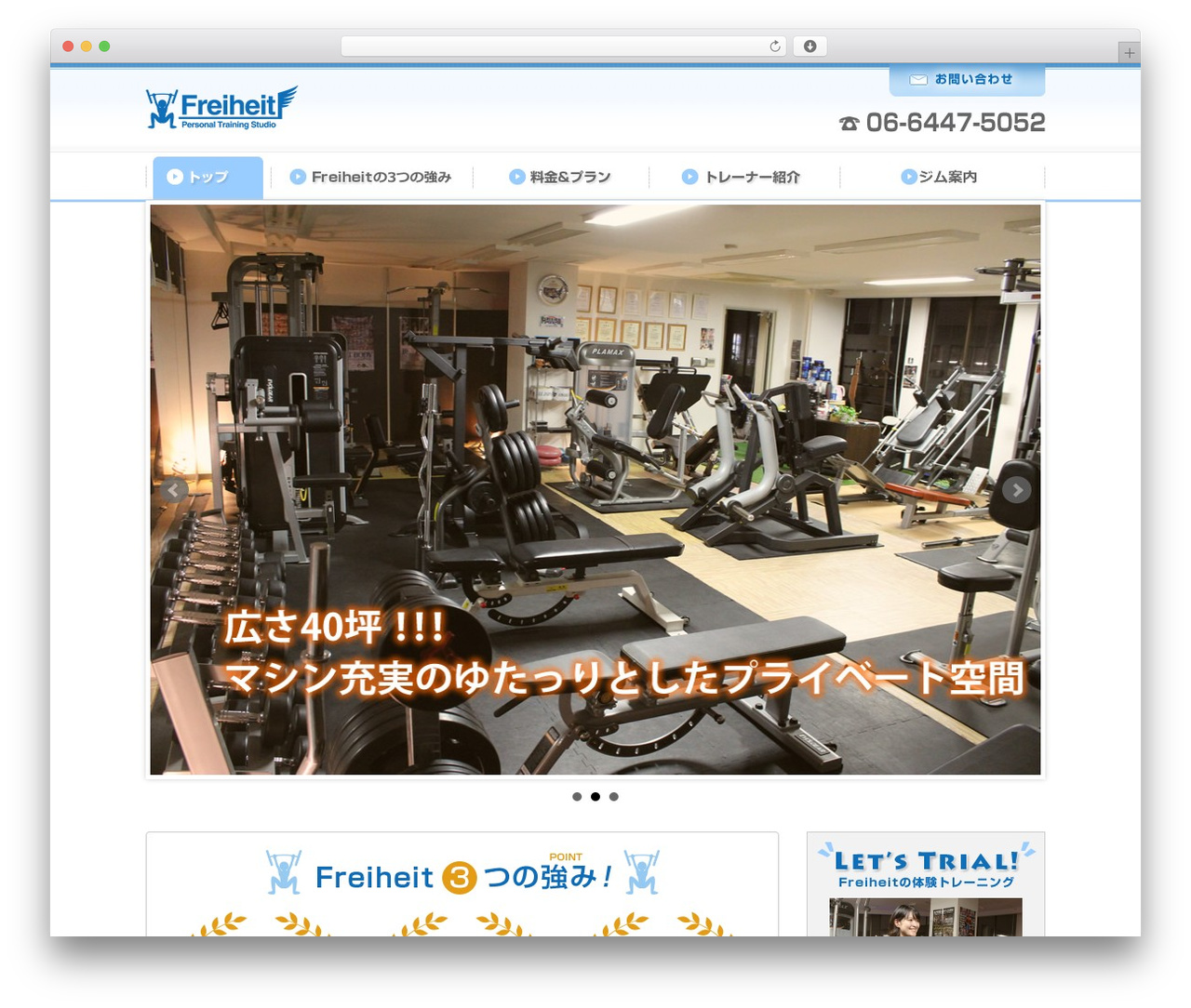 Type01 theme WordPress - freiheit-bodymake.com