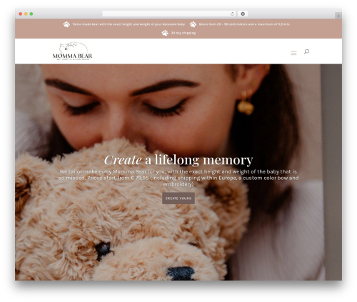 Tp add on automatic language detection WordPress plugin - momma-bear.com