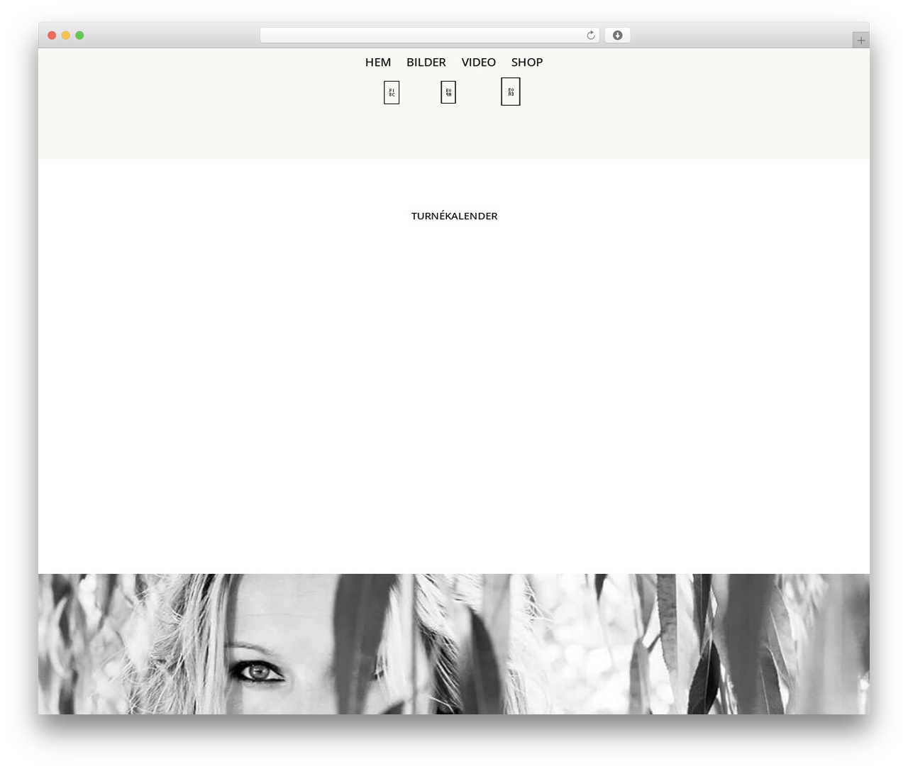 WordPress theme Divi - pernillaandersson.com