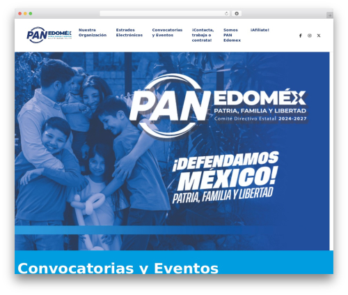 Litho addons WordPress plugin - panedomex.org