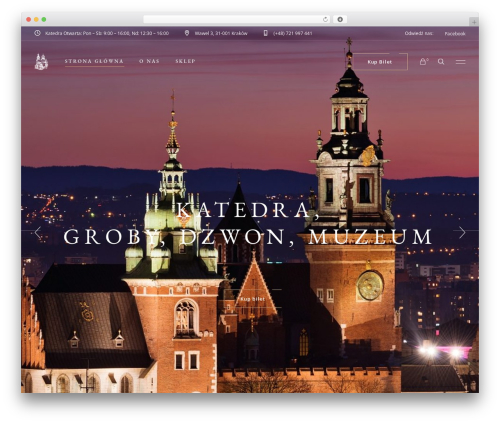 Musea shows WordPress plugin - bilety-wawel.pl