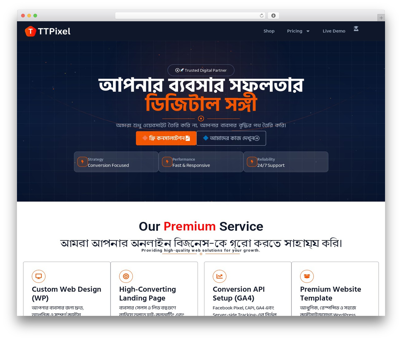 WordPress website theme Hello Elementor - ttpixel.shop