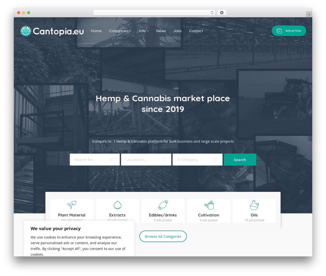 Adifier theme WordPress - cantopia.eu