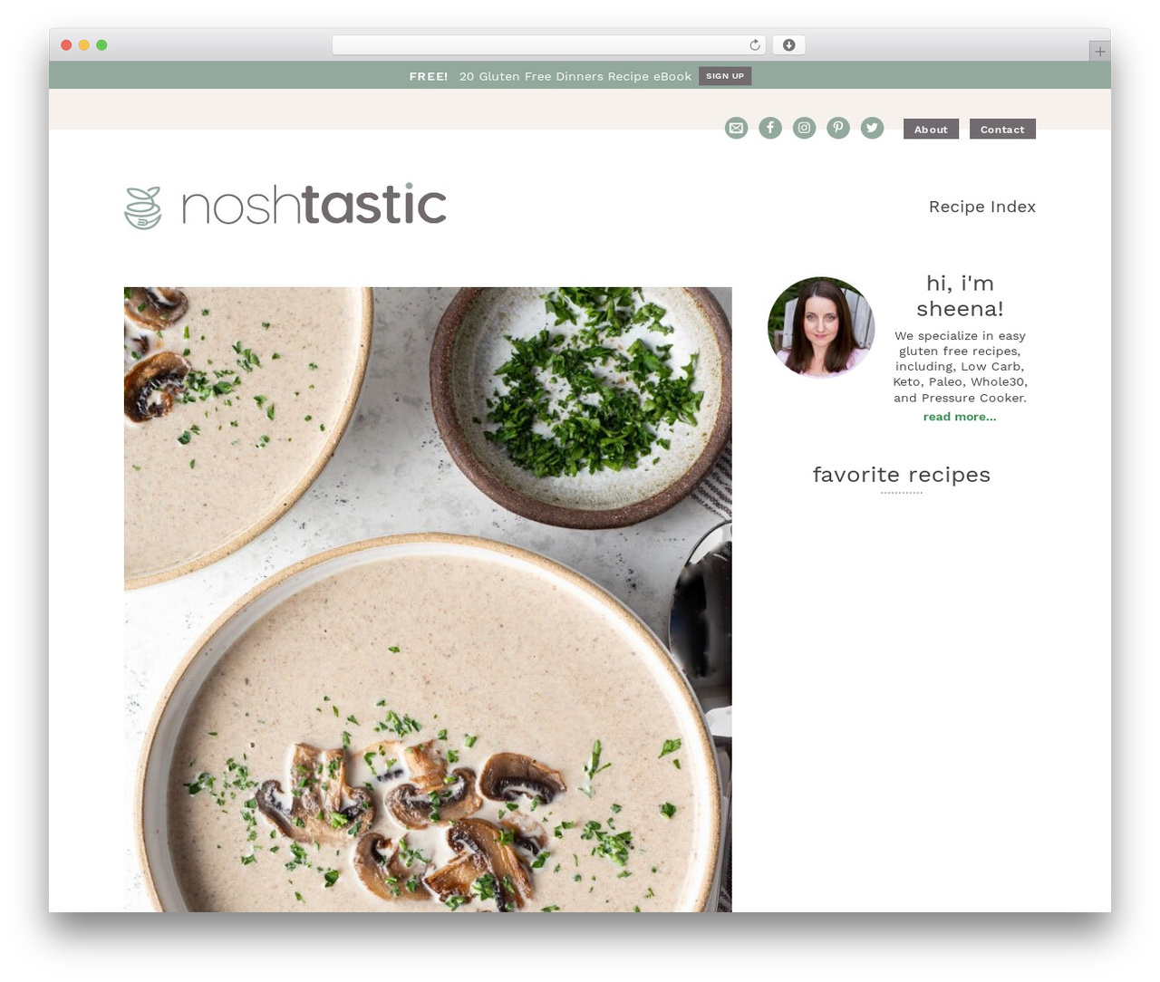 Genesis theme WordPress - noshtastic.com