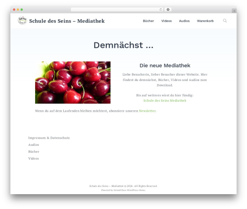 Digistore WordPress plugin - sds-mediathek.de