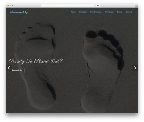 Screenr plus WordPress plugin - footnetwork.biz