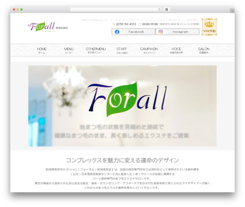 Custom article WordPress plugin - forallforall.com