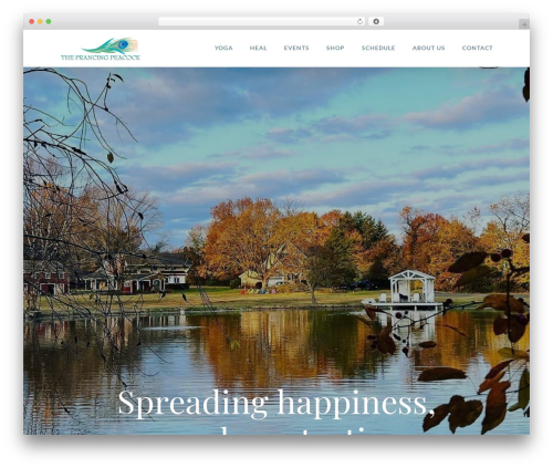 Image prioritizer WordPress plugin - prancingpeacock.com