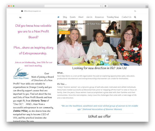 Wp rss multi importer WordPress plugin - nextstepmoms.org