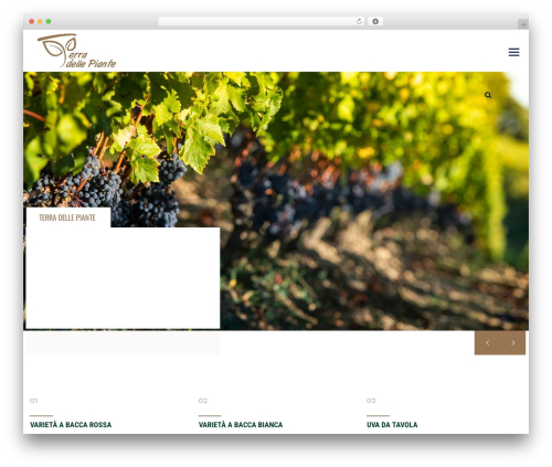 WP theme LabtechCO - terradellepiante.com