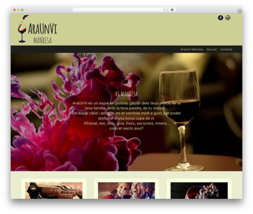 Button Widget by Loomisoft (loomisoft-button-widget) free WordPress plugin - araunvimanresa.com