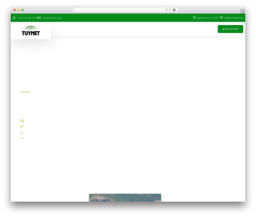Hello Elementor free WP theme - tuynet.com