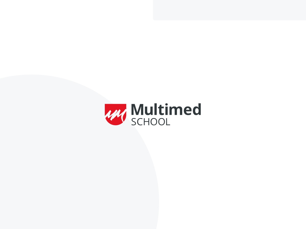 Multimed best WordPress theme by Tandu
