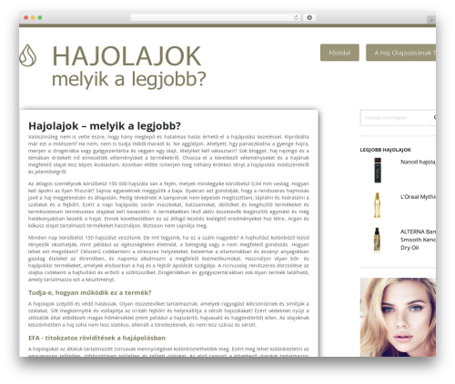 StartingUp WordPress theme - apoldahajad.com